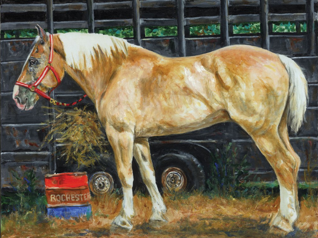 Rochester Fair Horse