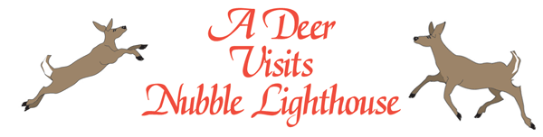 A Deer Visits Nubble Lighthouse