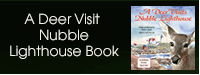 A Deer Visits Nubble Lighthouse Book