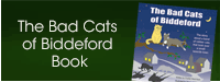 The Bads Cats of Biddeford