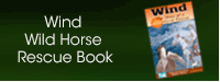 Wind Wild Horse Book